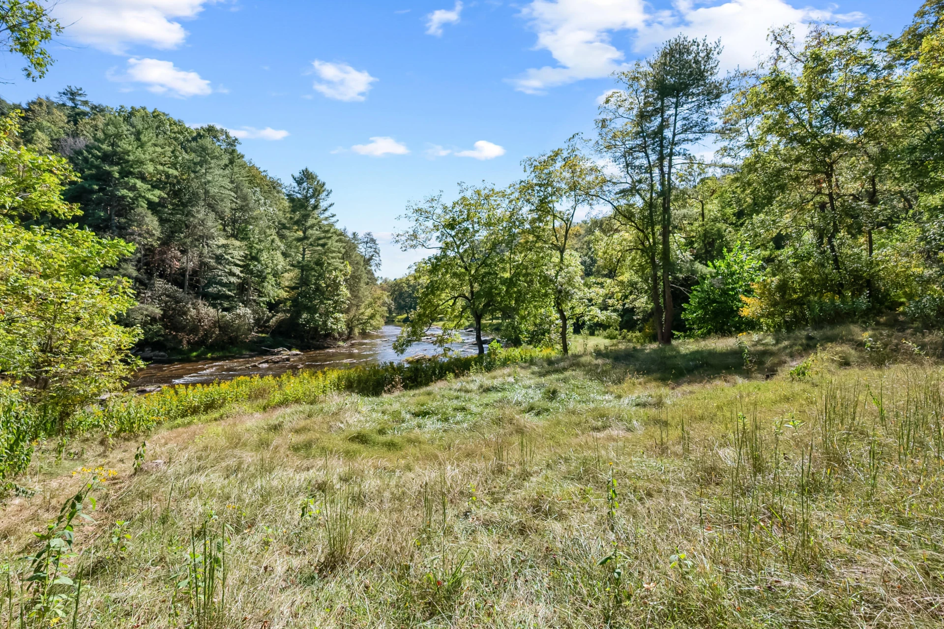 6286 Chestnut Ridge RD - Photo 62