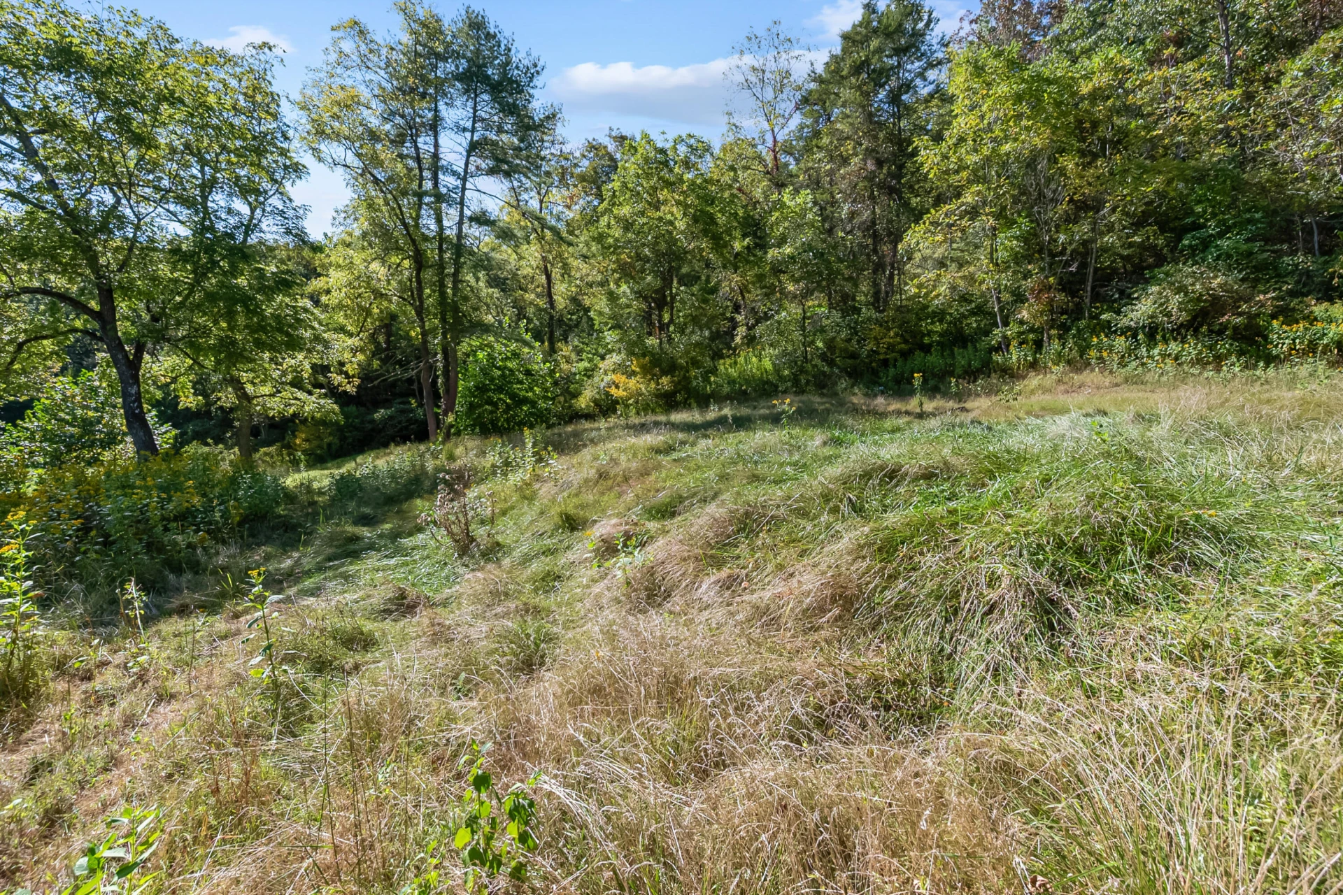 6286 Chestnut Ridge RD - Photo 63