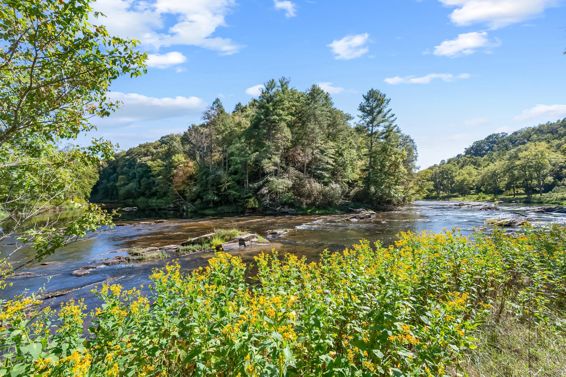 6286 Chestnut Ridge RD - Photo 64