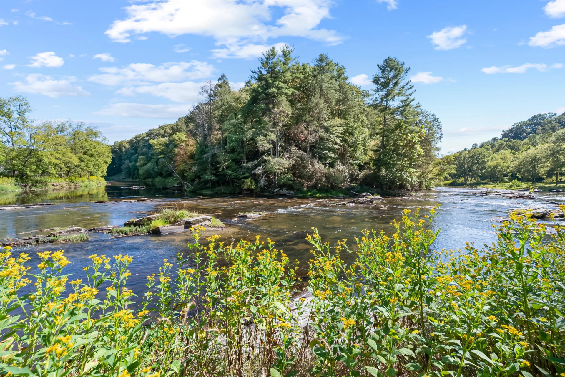 6286 Chestnut Ridge RD - Photo 65