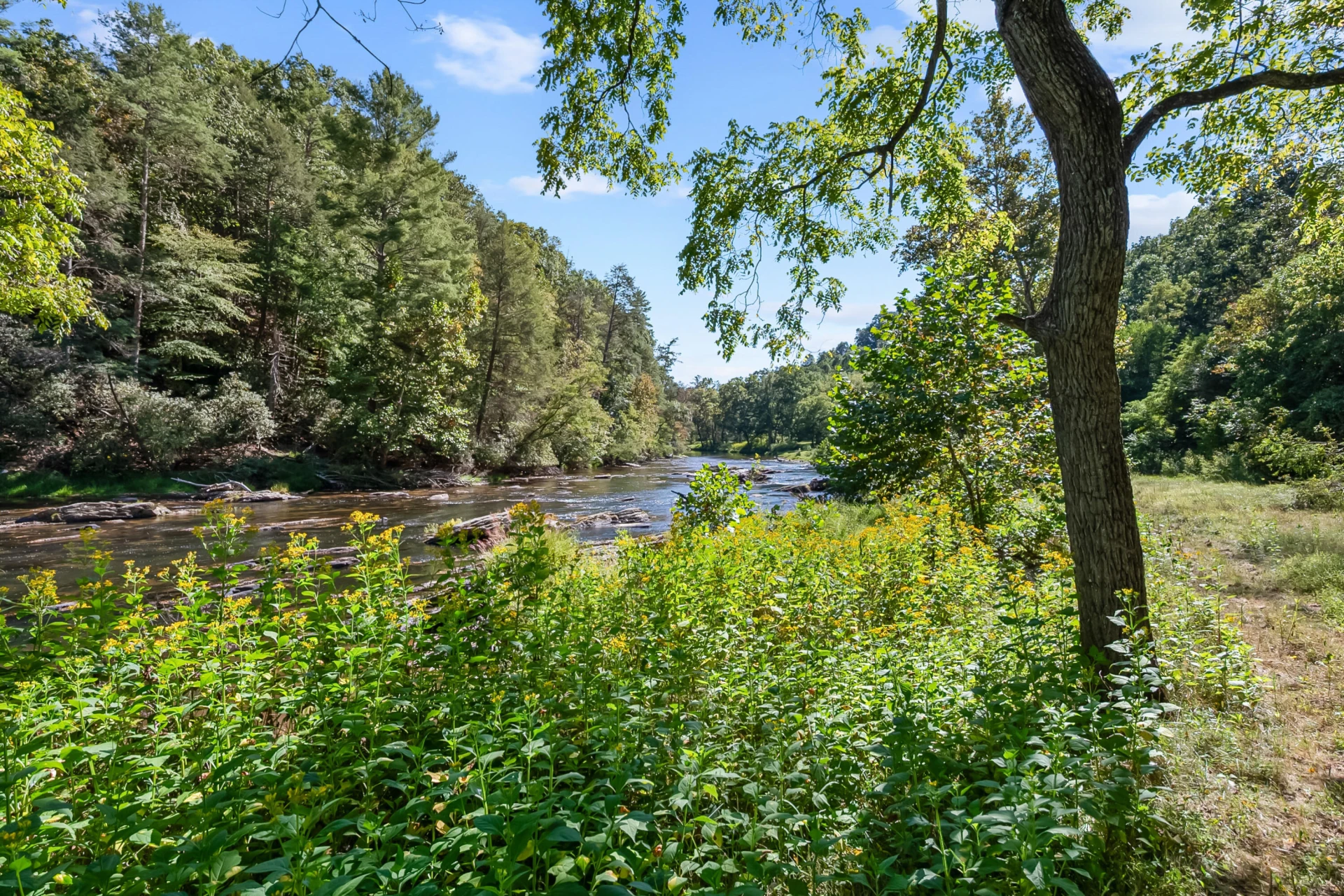 6286 Chestnut Ridge RD - Photo 71