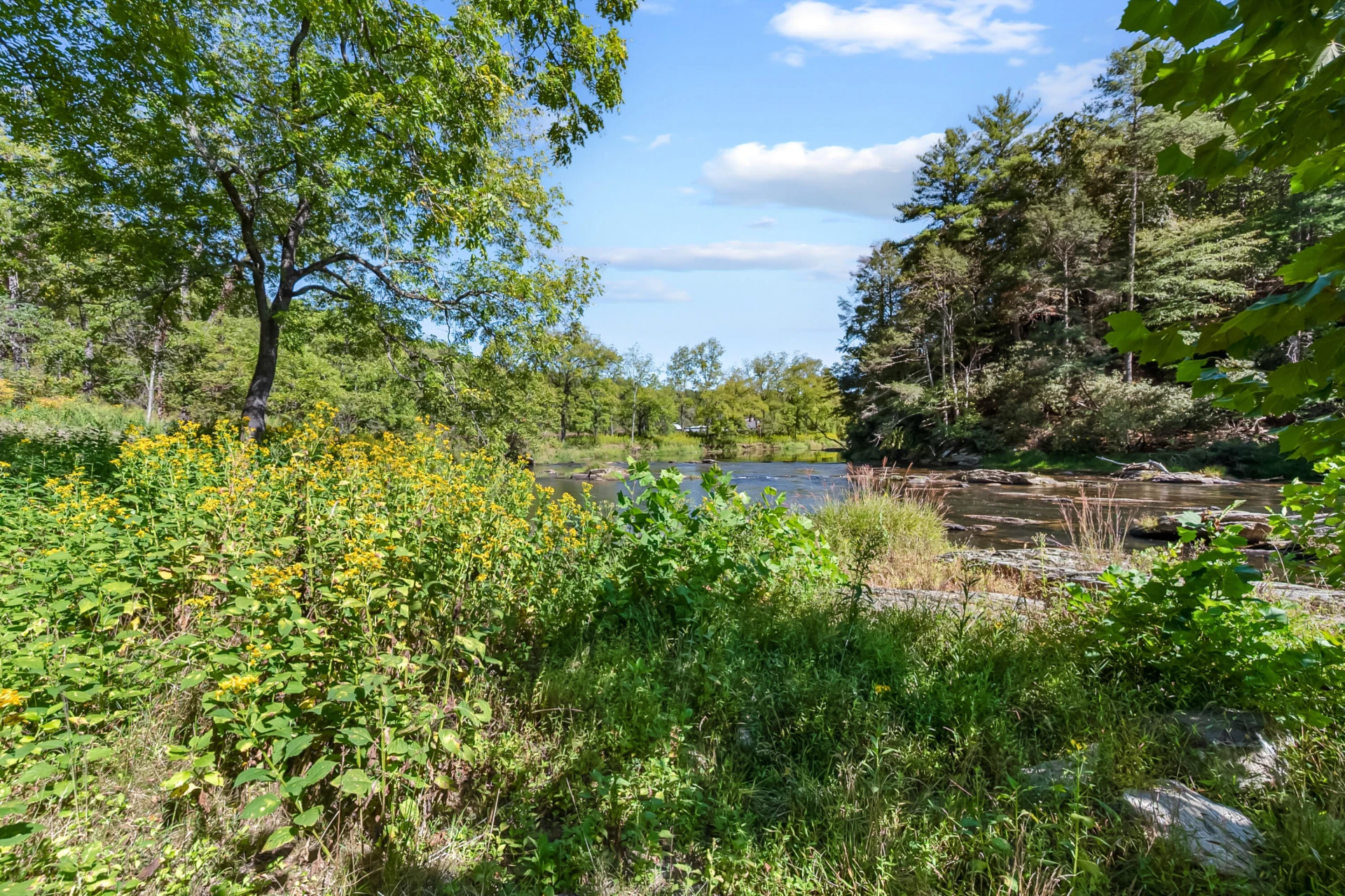 6286 Chestnut Ridge RD - Photo 72