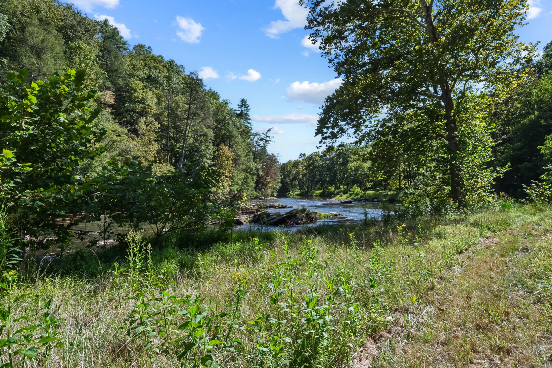 6286 Chestnut Ridge RD - Photo 75