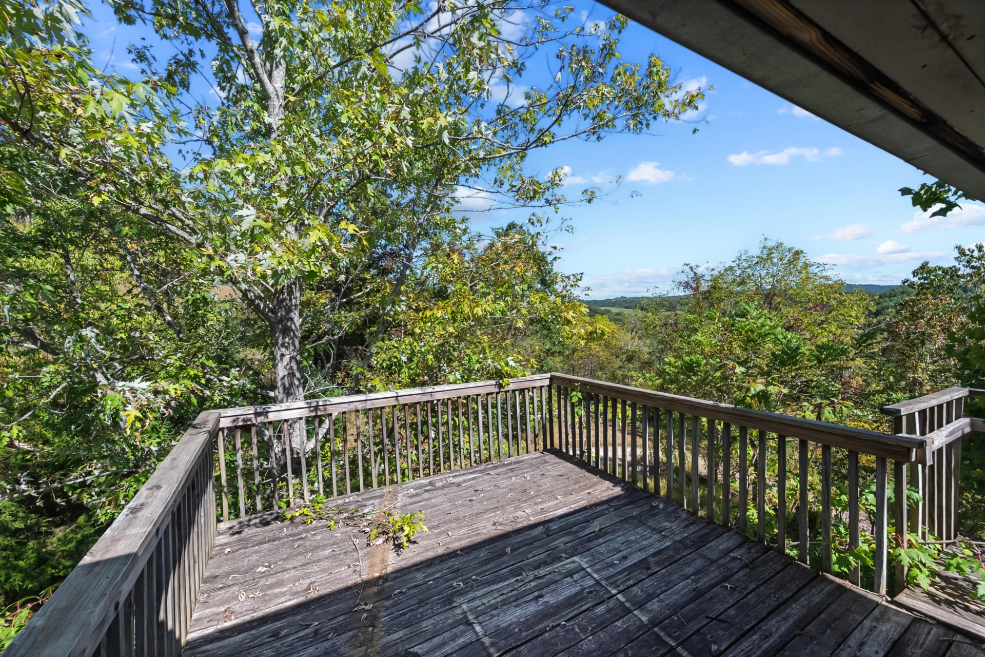 6286 Chestnut Ridge RD - Photo 93