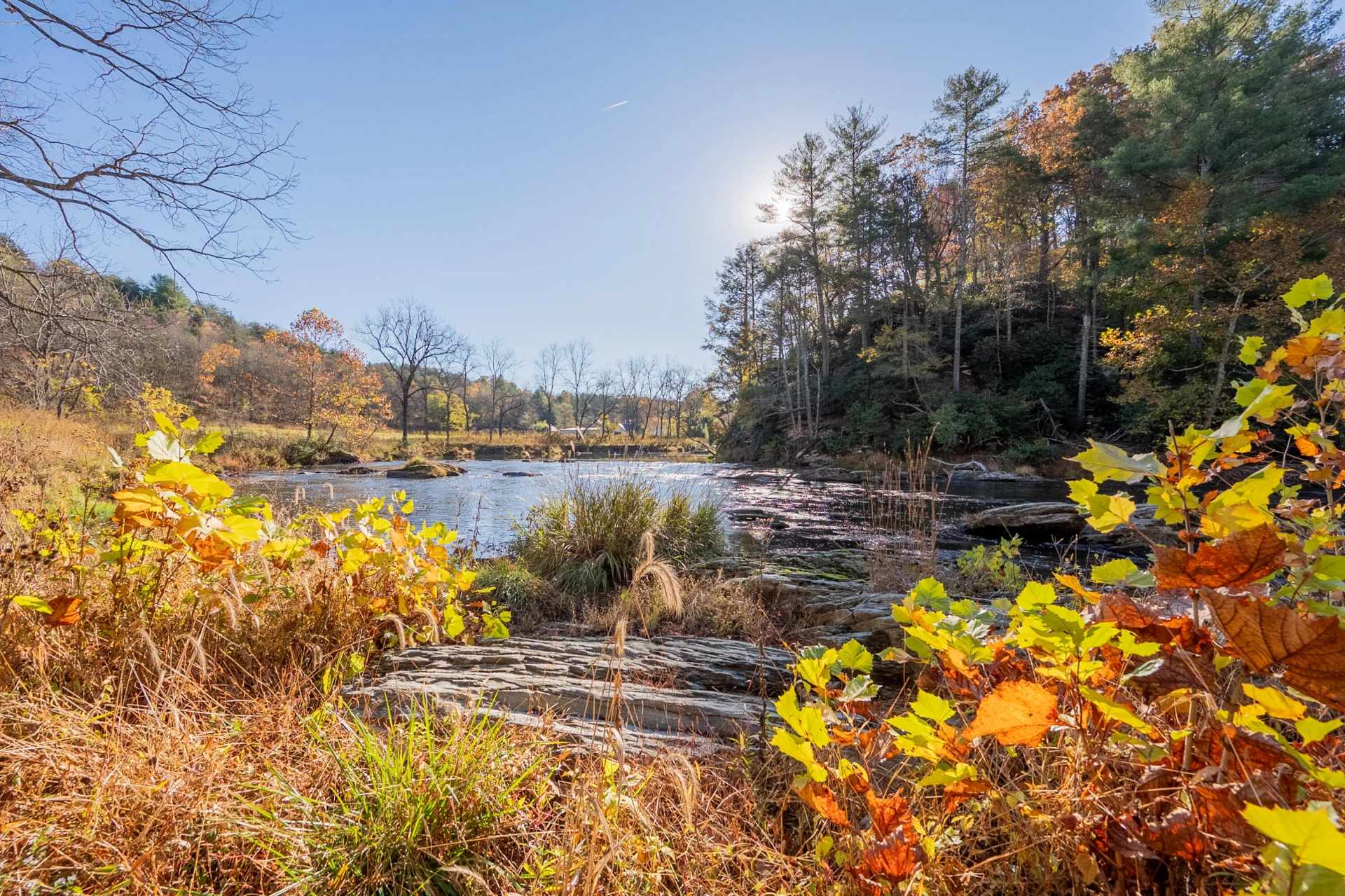 6286 Chestnut Ridge RD - Photo 95