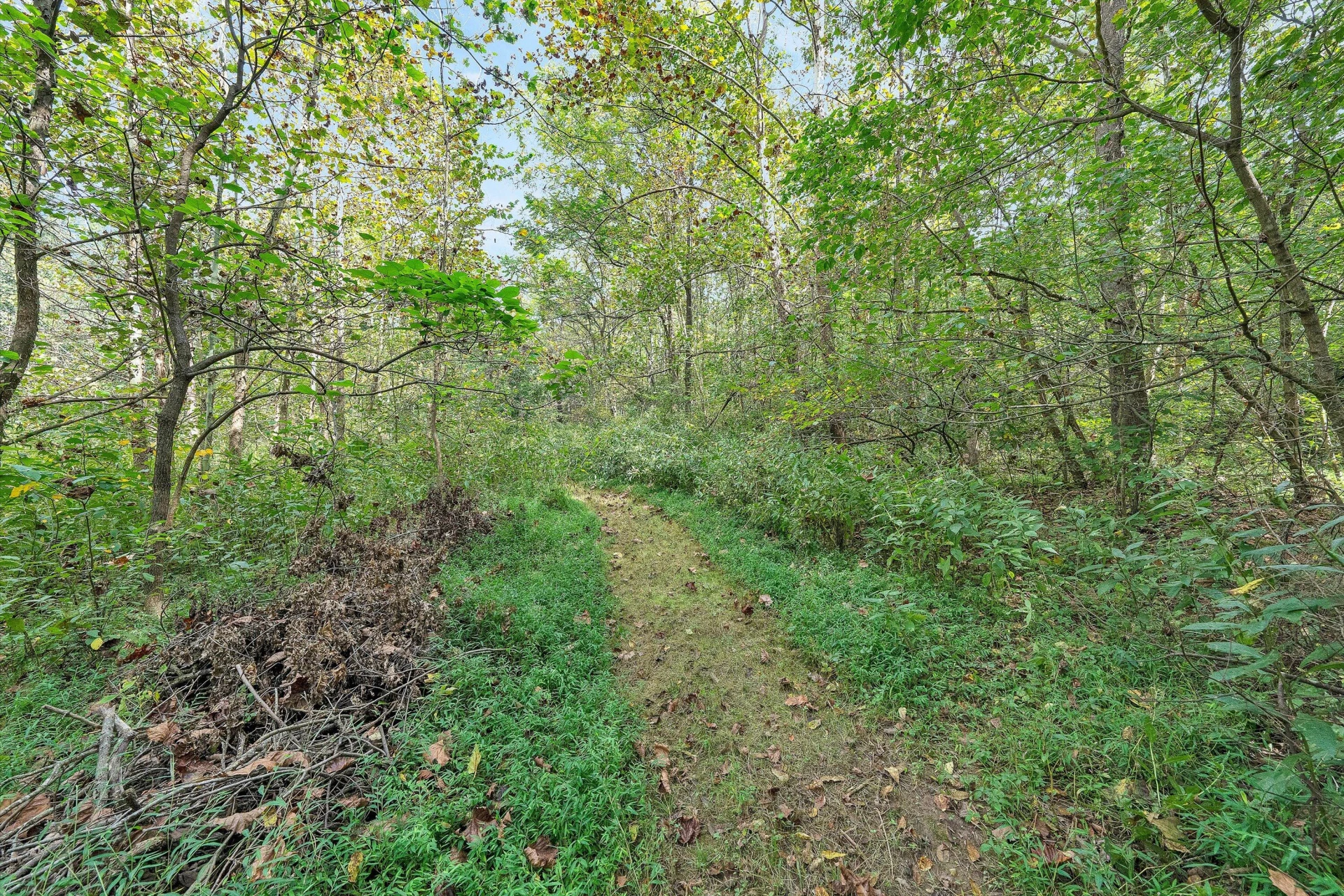 7116 Peyton ST - Photo 45
