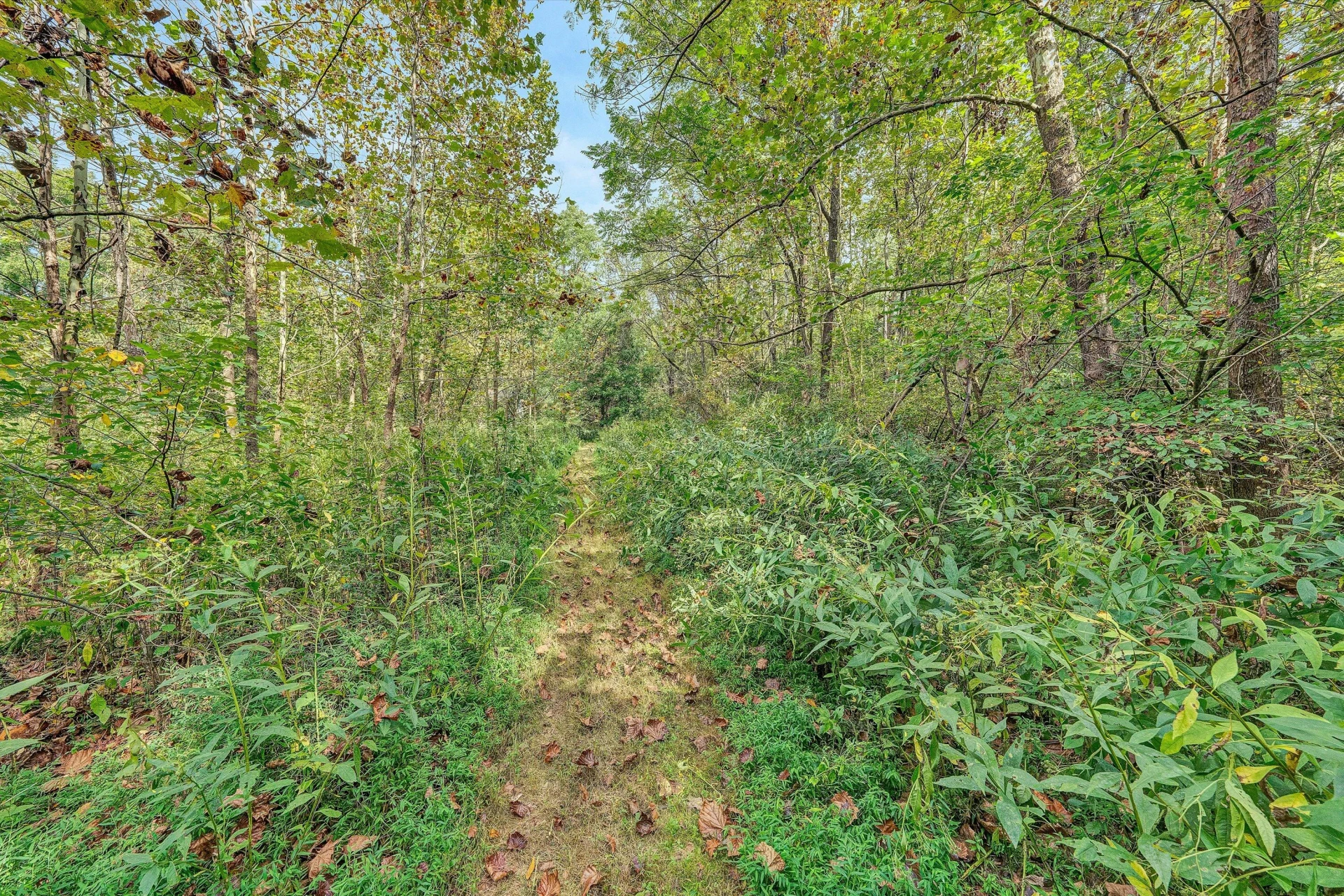 7116 Peyton ST - Photo 46