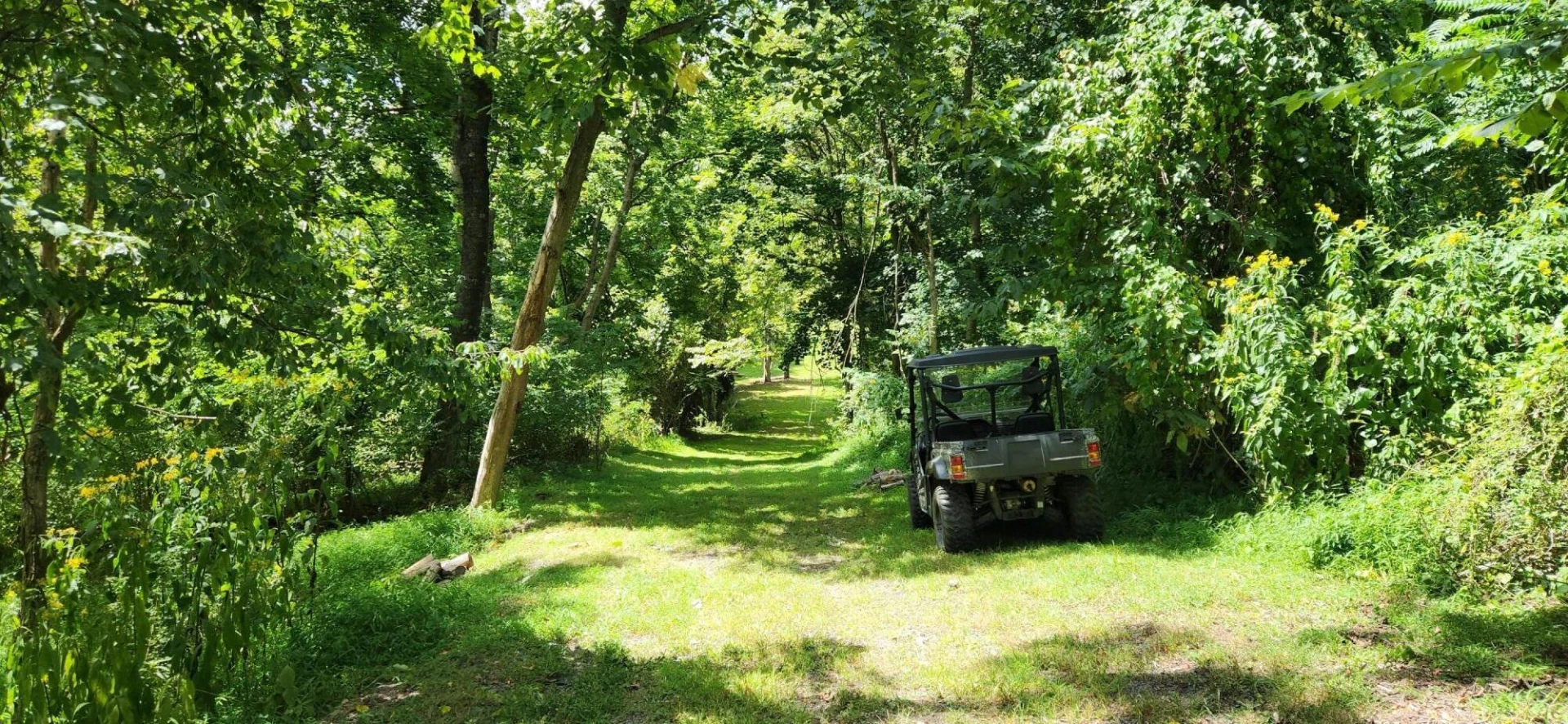 0 Routier HIll - Photo 2