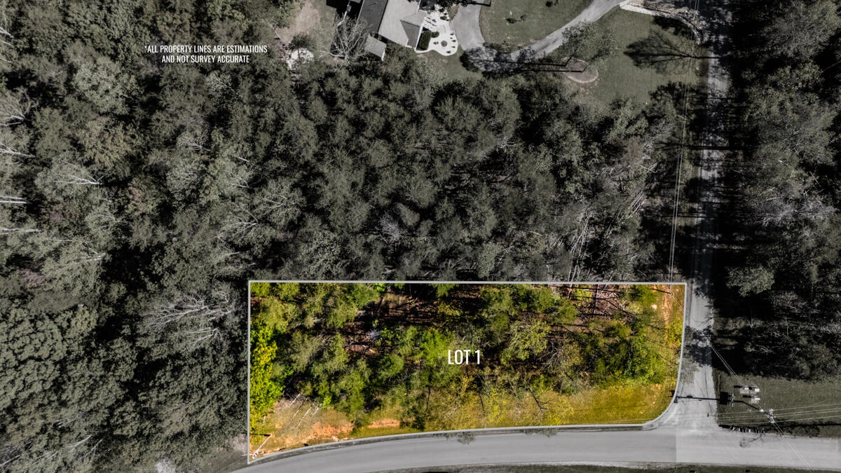Lot 1 Allendale DR - Photo 15