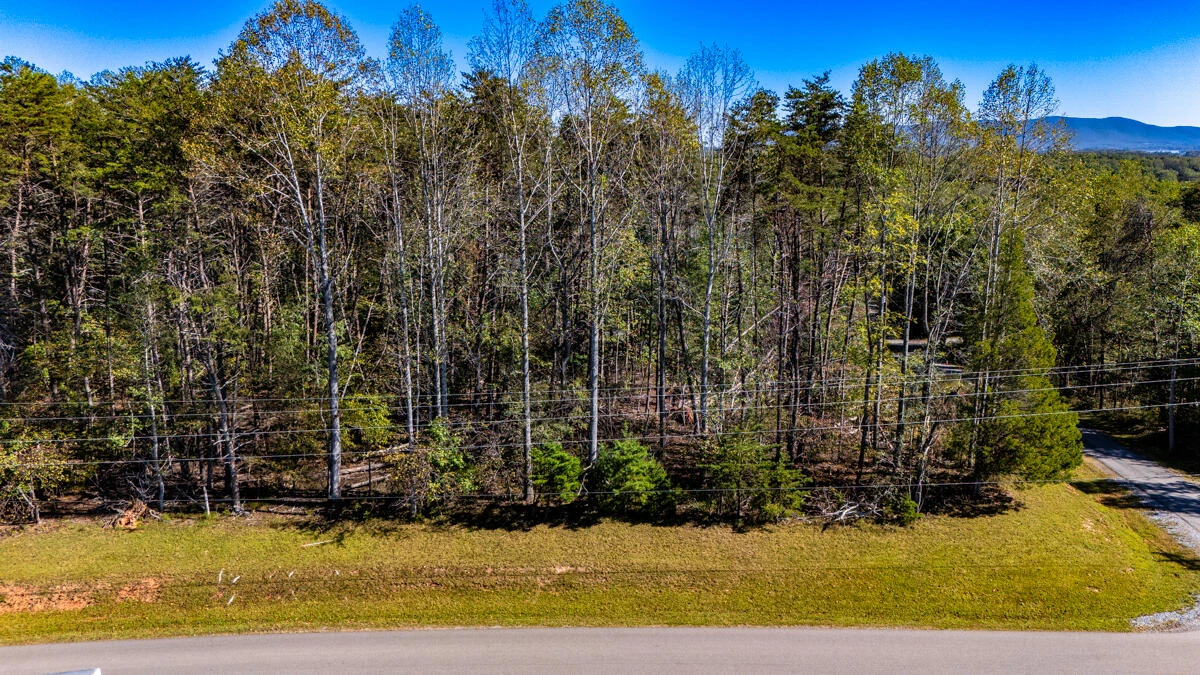 Lot 1 Allendale DR - Photo 16
