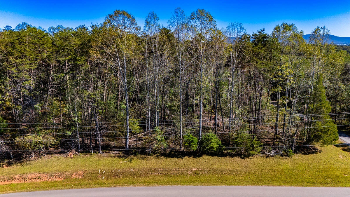 Lot 1 Allendale DR - Photo 9