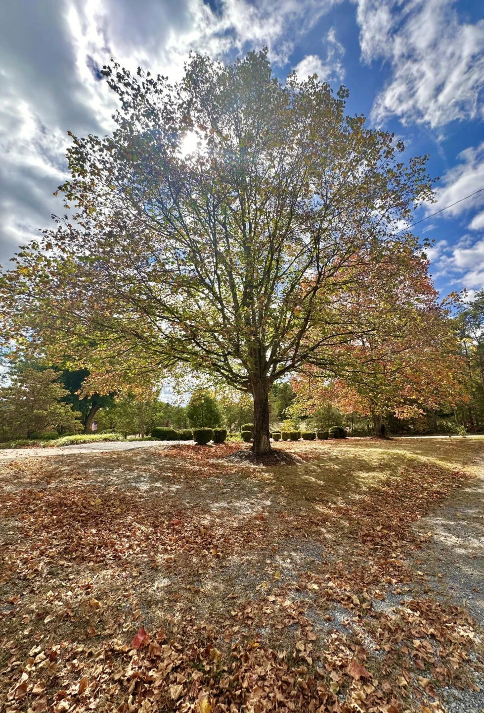 5819 Forty Two RD - Photo 27