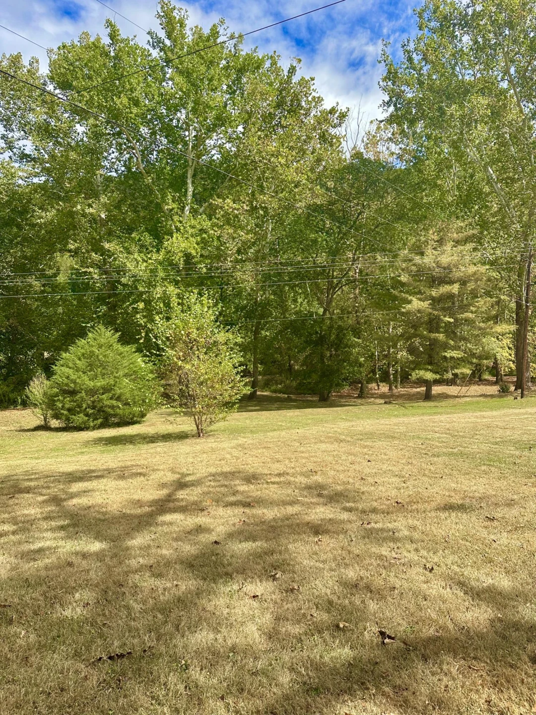 5819 Forty Two RD - Photo 28