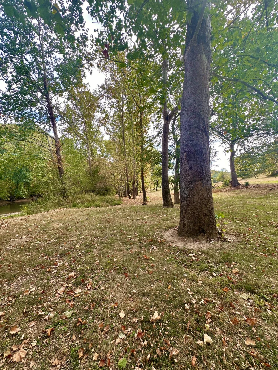5819 Forty Two RD - Photo 31