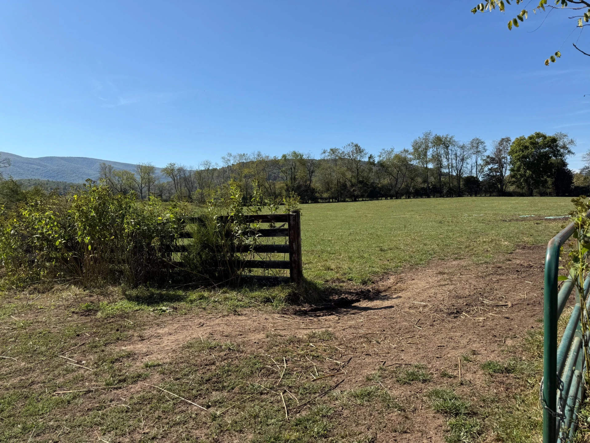 6402 Potts Creek RD - Photo 19