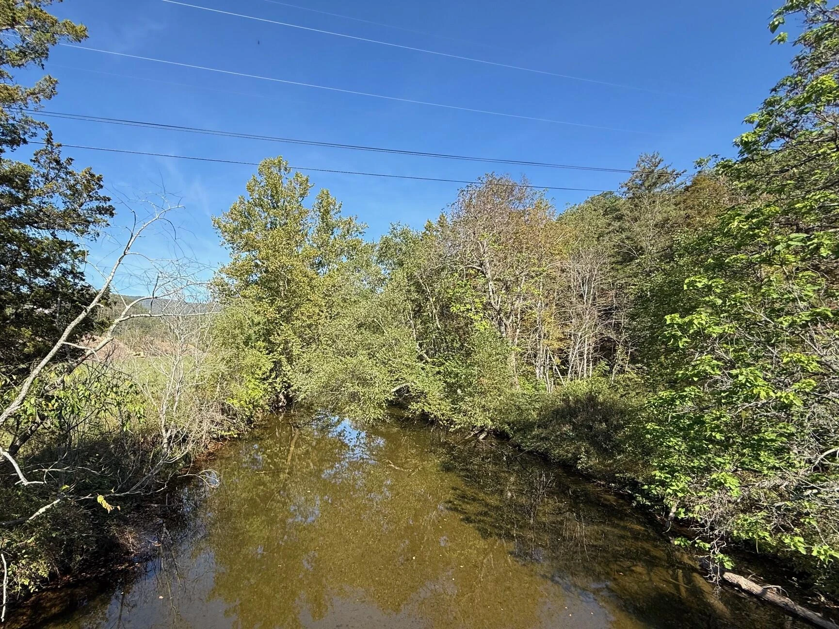 6402 Potts Creek RD - Photo 5
