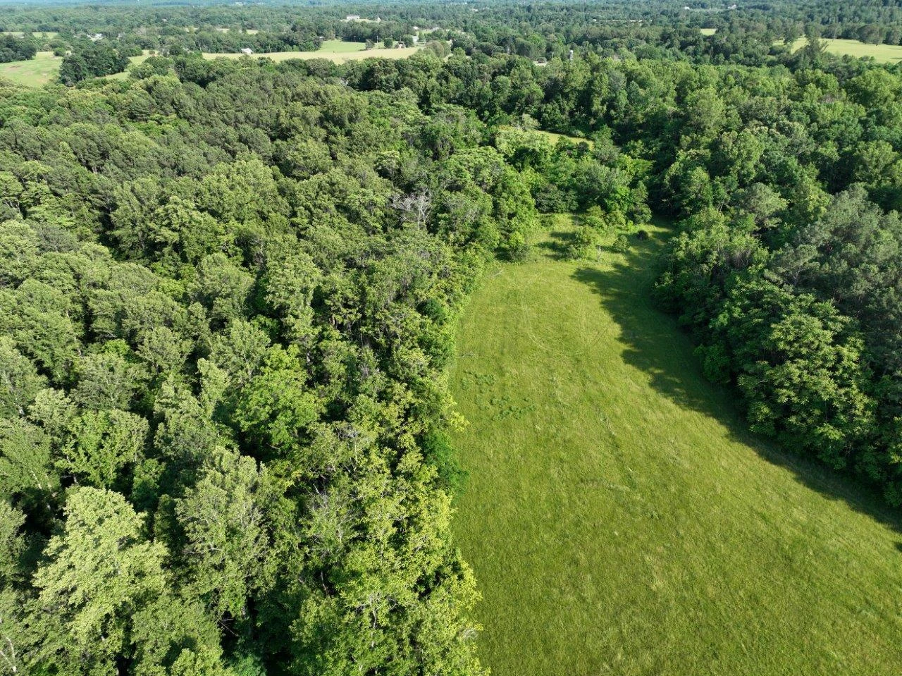 243 Huff Creek TRL - Photo 27