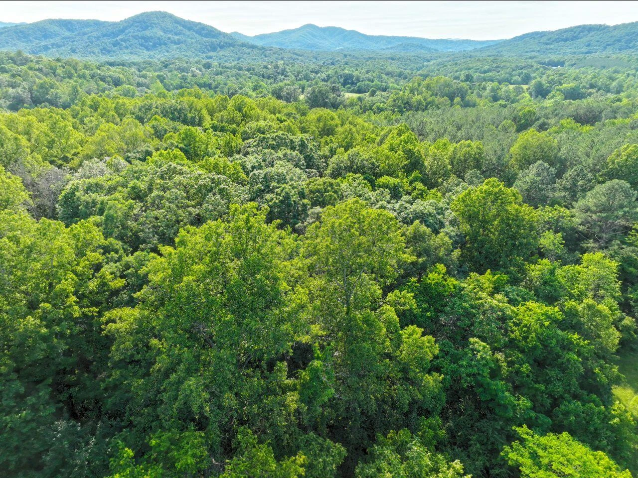 243 Huff Creek TRL - Photo 30