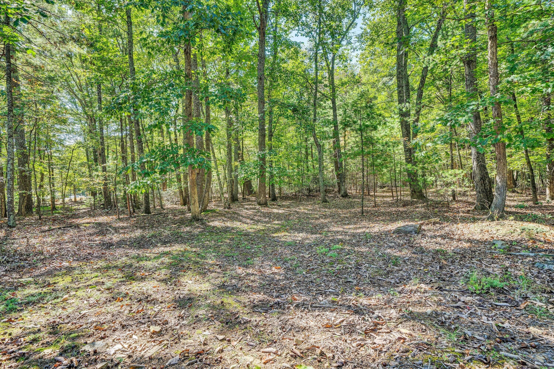 7415 Wheats Valley RD - Photo 54