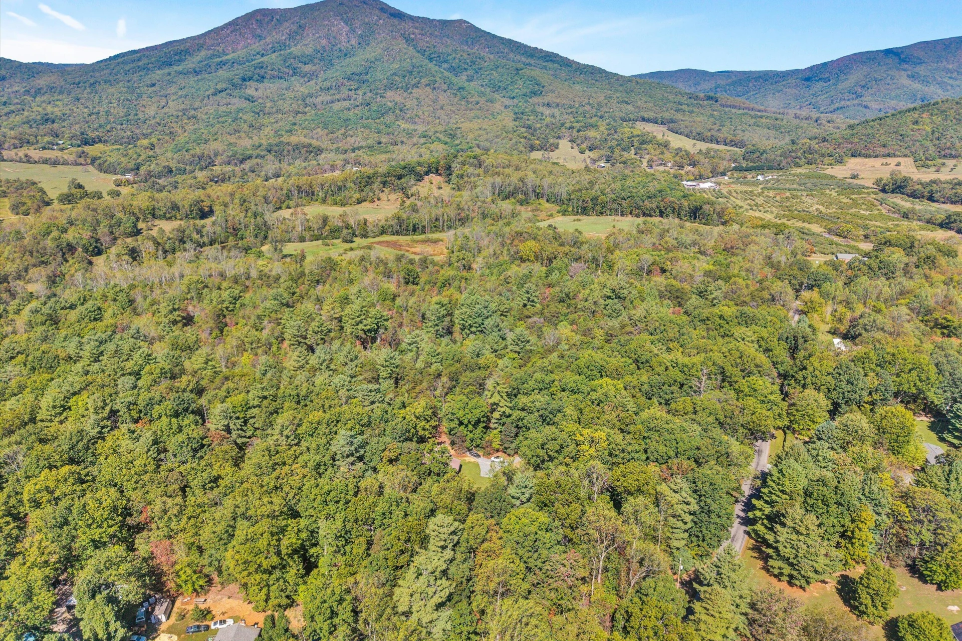7415 Wheats Valley RD - Photo 55