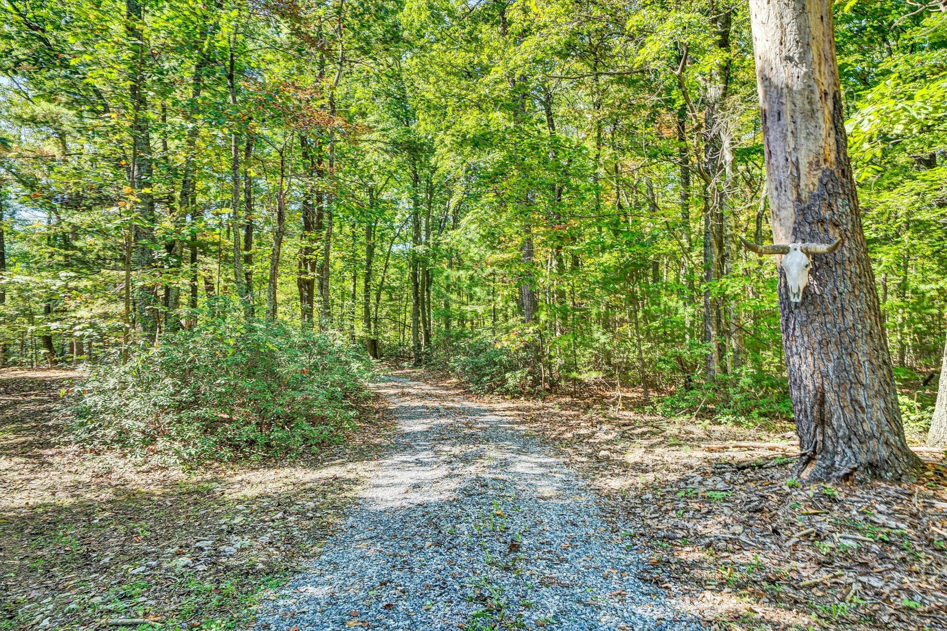 7415 Wheats Valley RD - Photo 67
