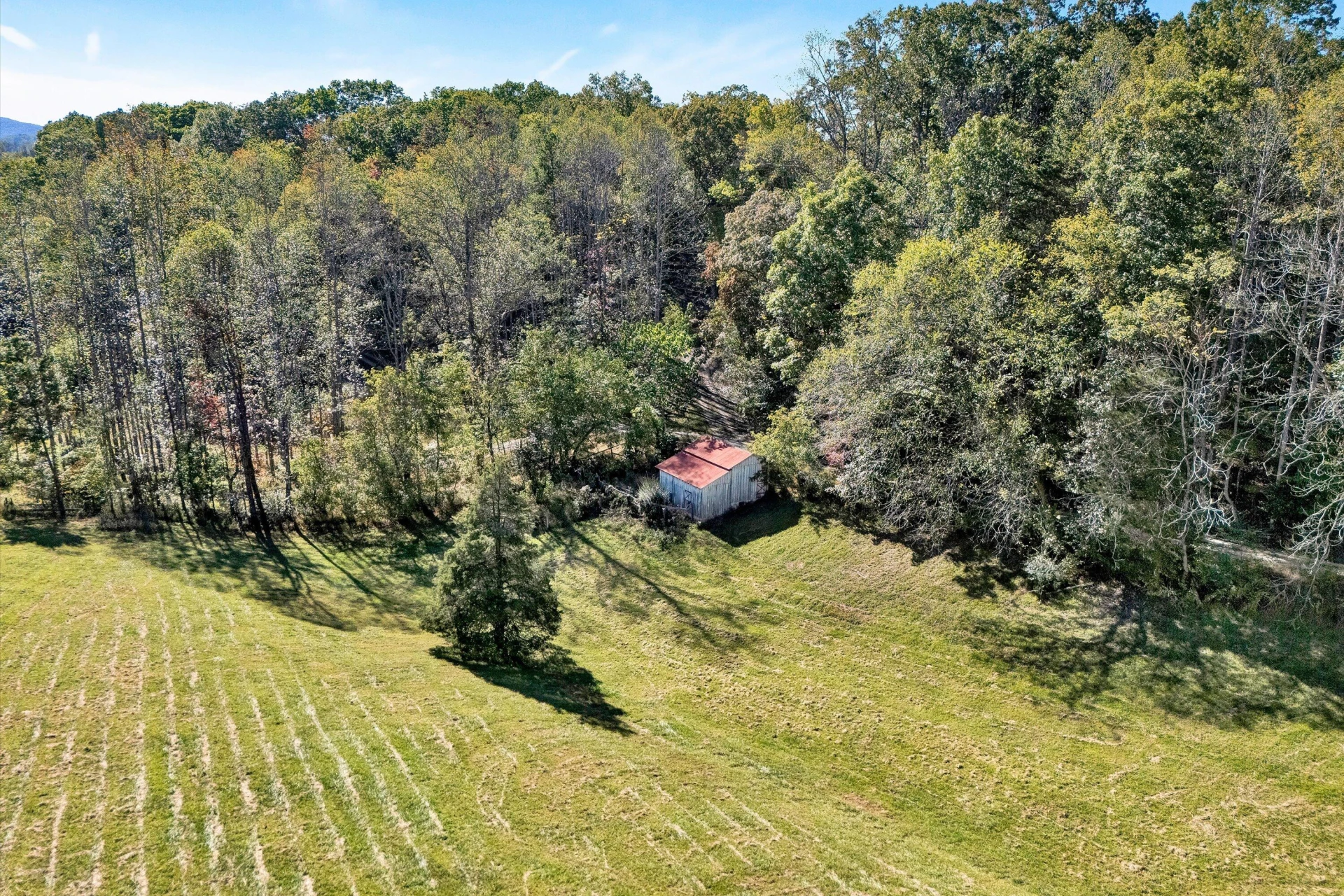 11713 Hardy RD - Photo 21