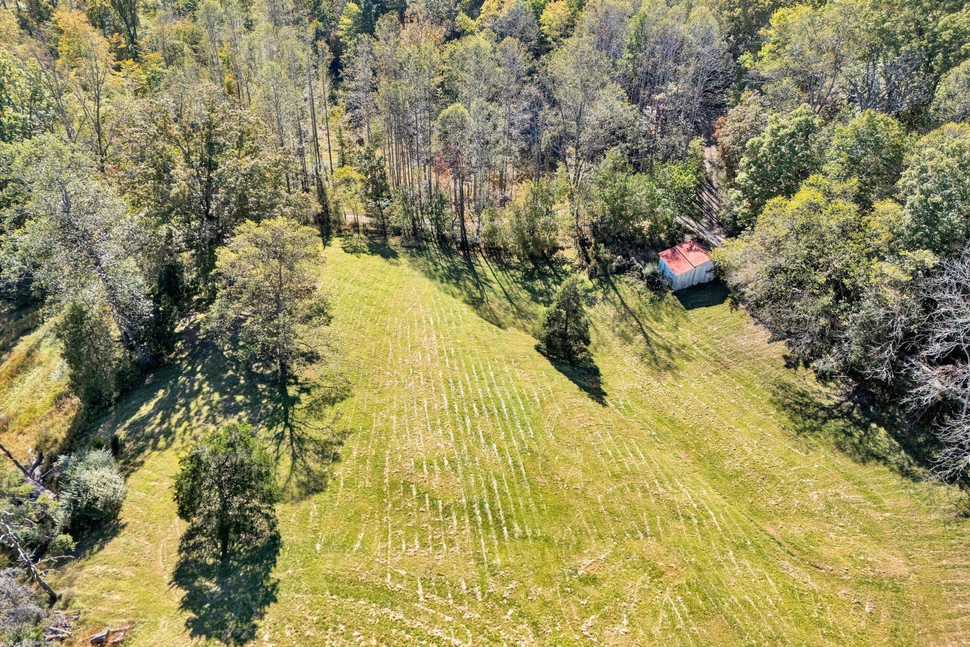11713 Hardy RD - Photo 23