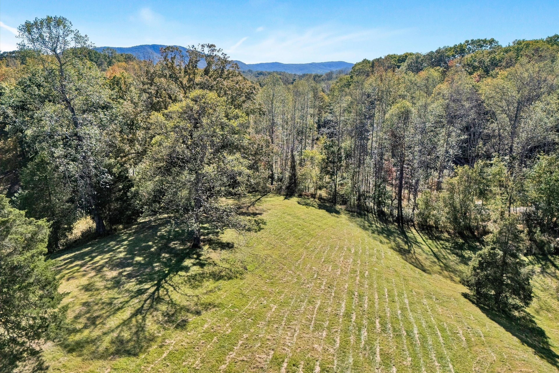 11713 Hardy RD - Photo 26