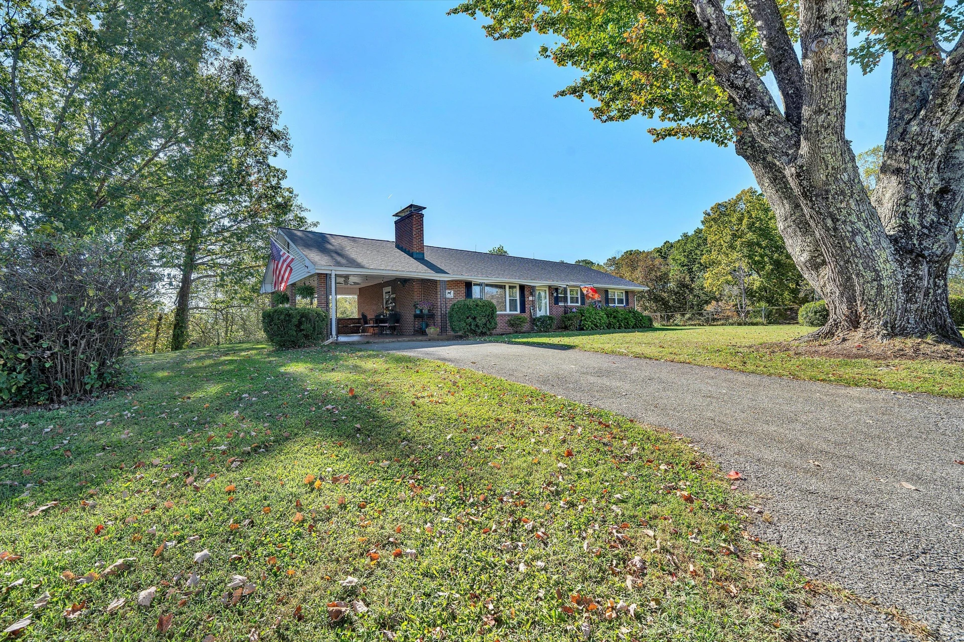 11713 Hardy RD - Photo 3