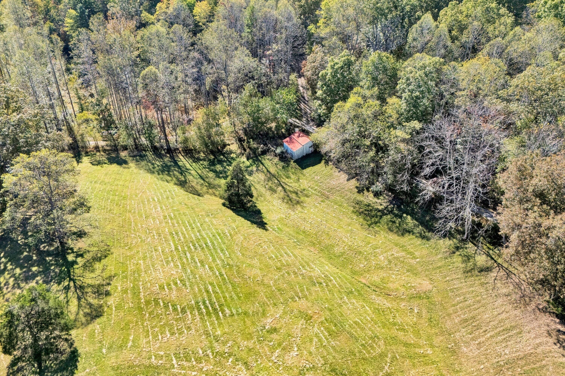 11713 Hardy RD - Photo 4