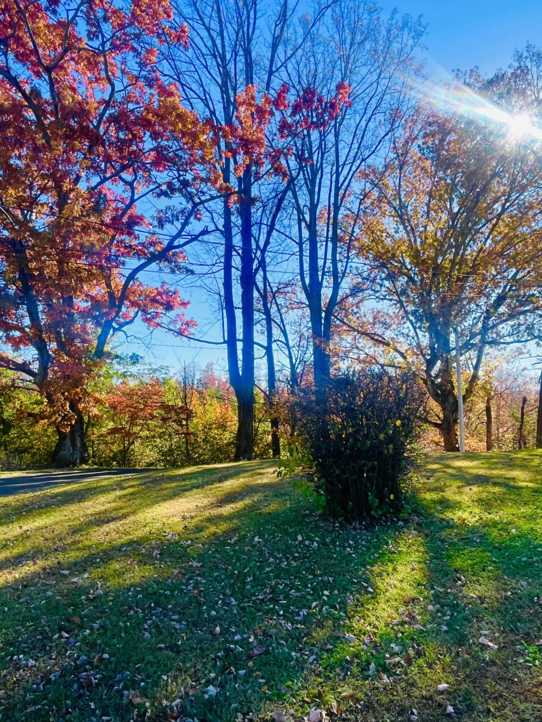 11713 Hardy RD - Photo 7