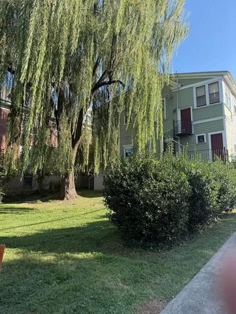 379 Walnut AVE SW - Photo 60