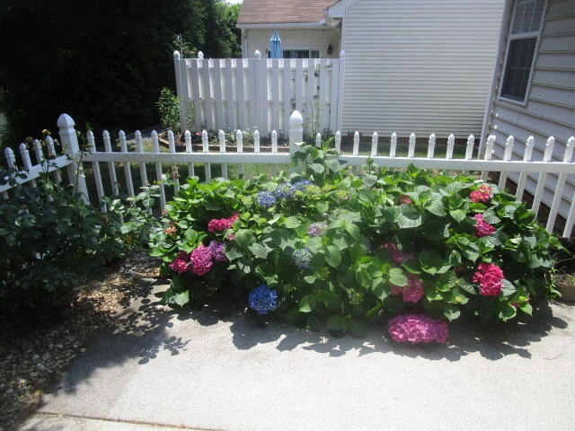 109 Legacy Oaks PL - Photo 2