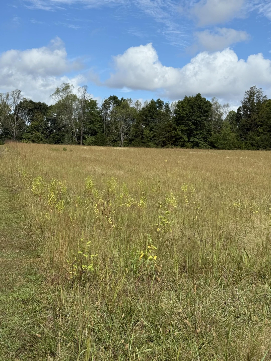 lot 15 Smith Mountain Lake PKWY - Photo 2