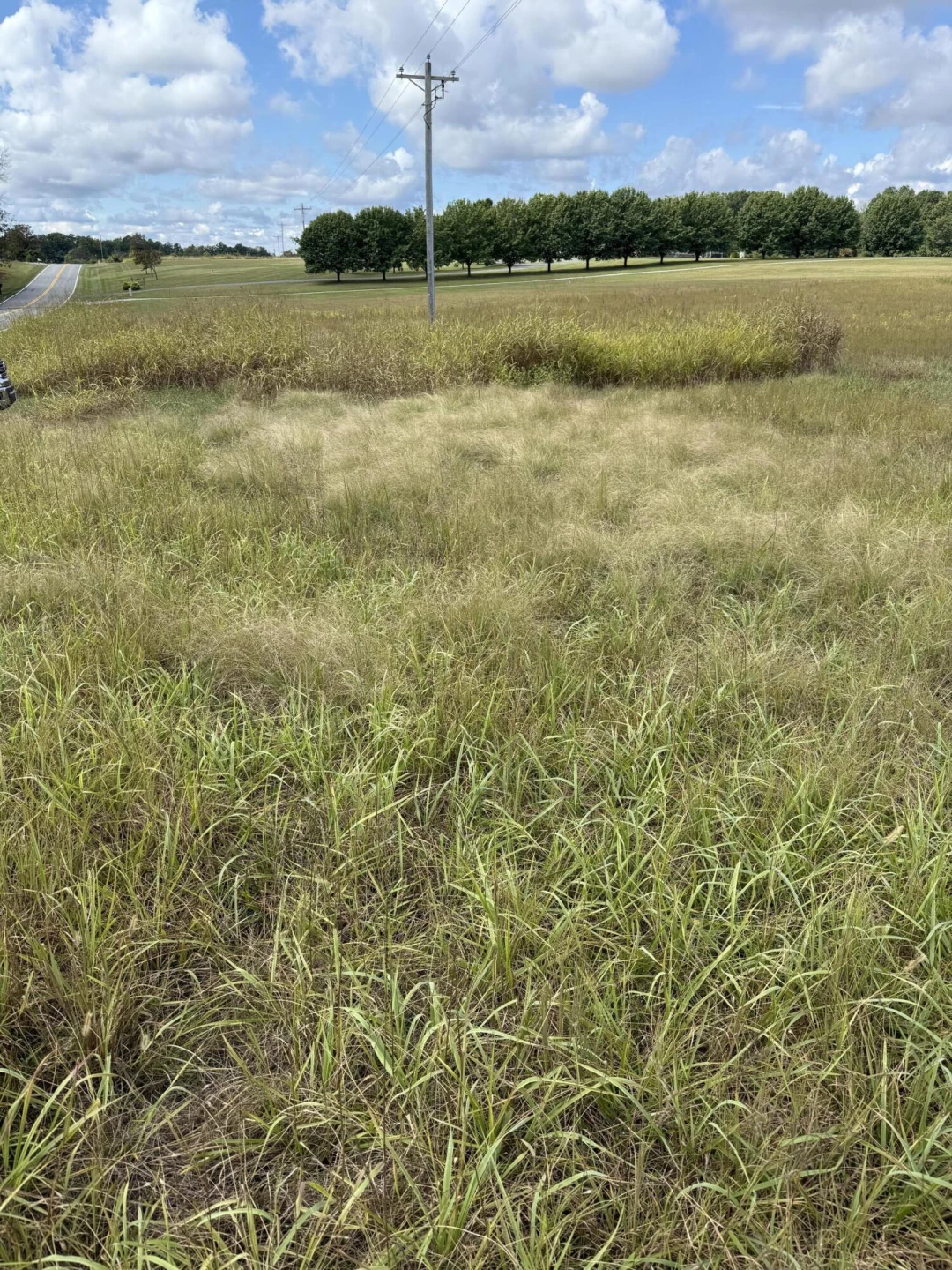 lot 15 Smith Mountain Lake PKWY - Photo 4