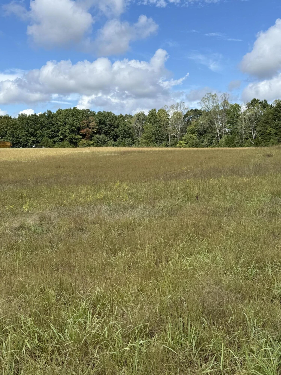 lot 15 Smith Mountain Lake PKWY - Photo 5