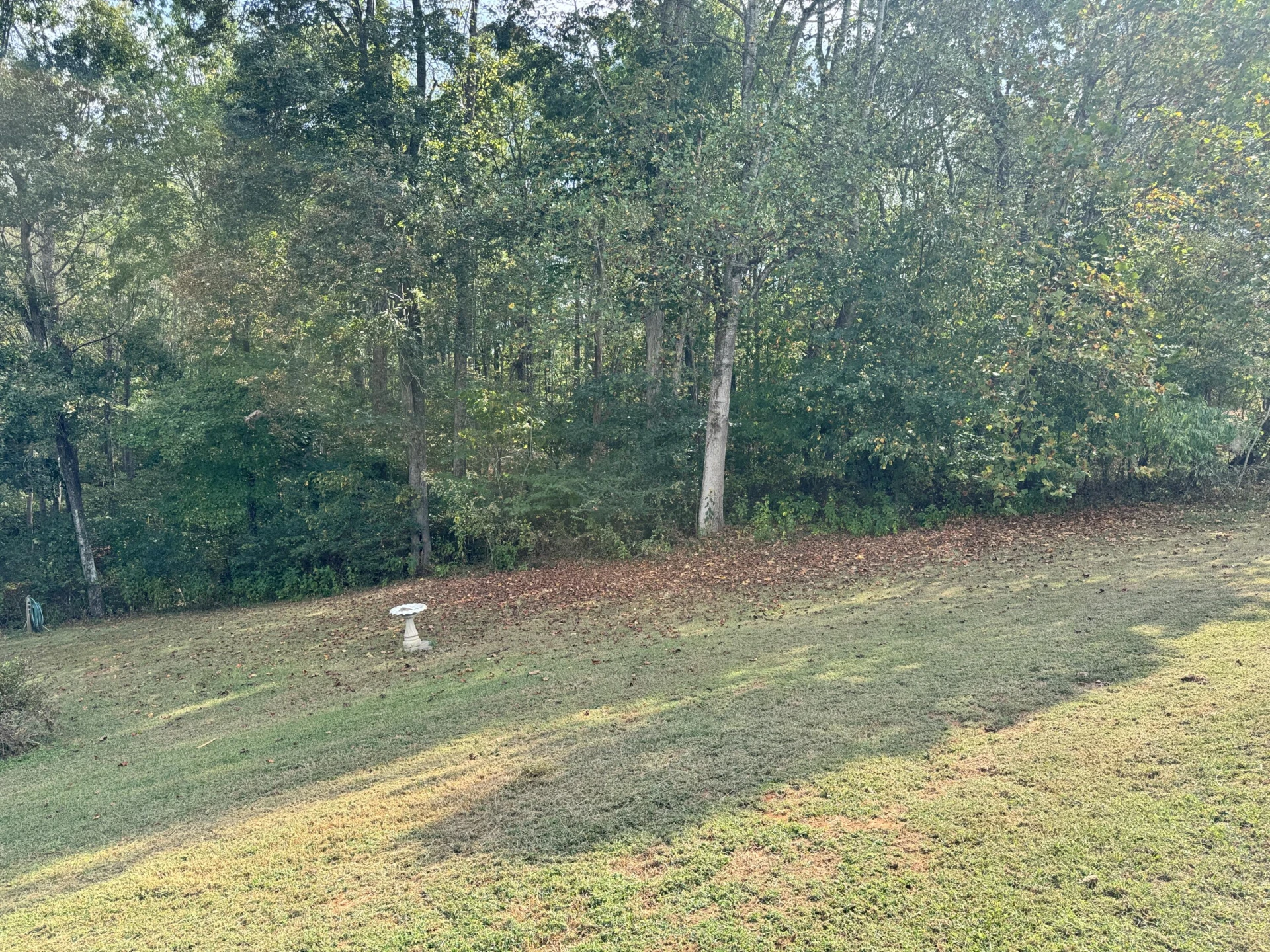 480 Glade Creek RD - Photo 4