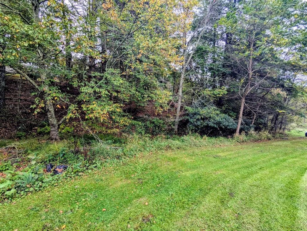 41 Tall Pines LN - Photo 27