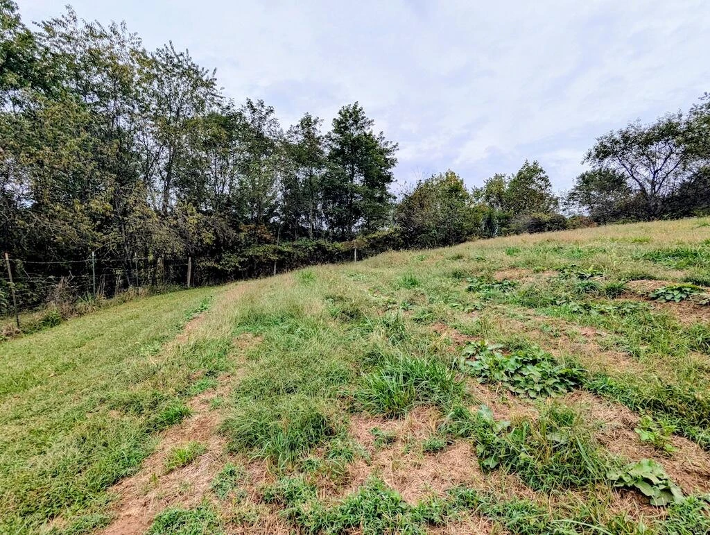 41 Tall Pines LN - Photo 29