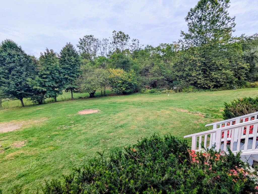 41 Tall Pines LN - Photo 39