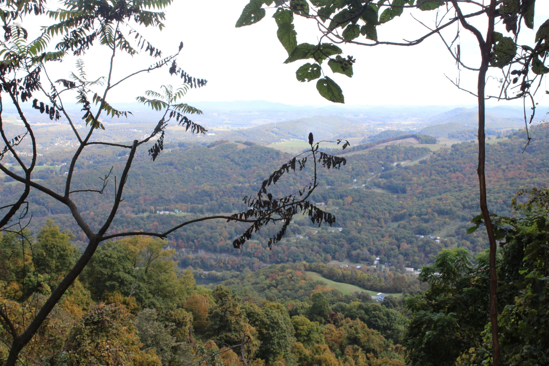 0 Robertson Mountain RD - Photo 13