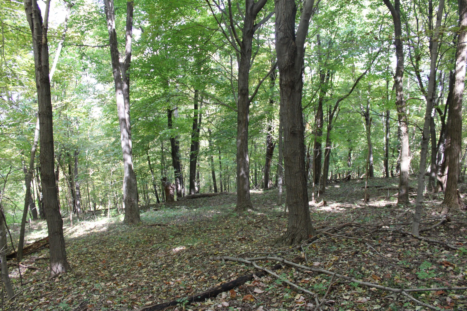 0 Robertson Mountain RD - Photo 14