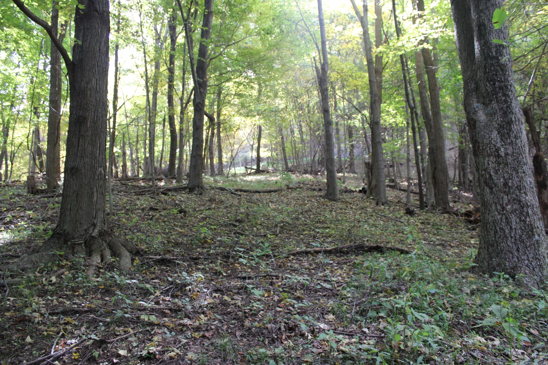 0 Robertson Mountain RD - Photo 15