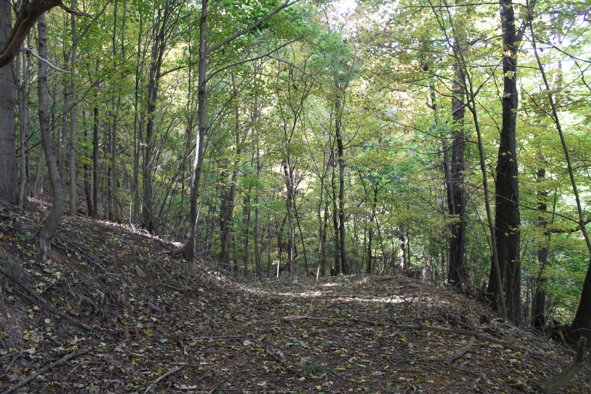 0 Robertson Mountain RD - Photo 16