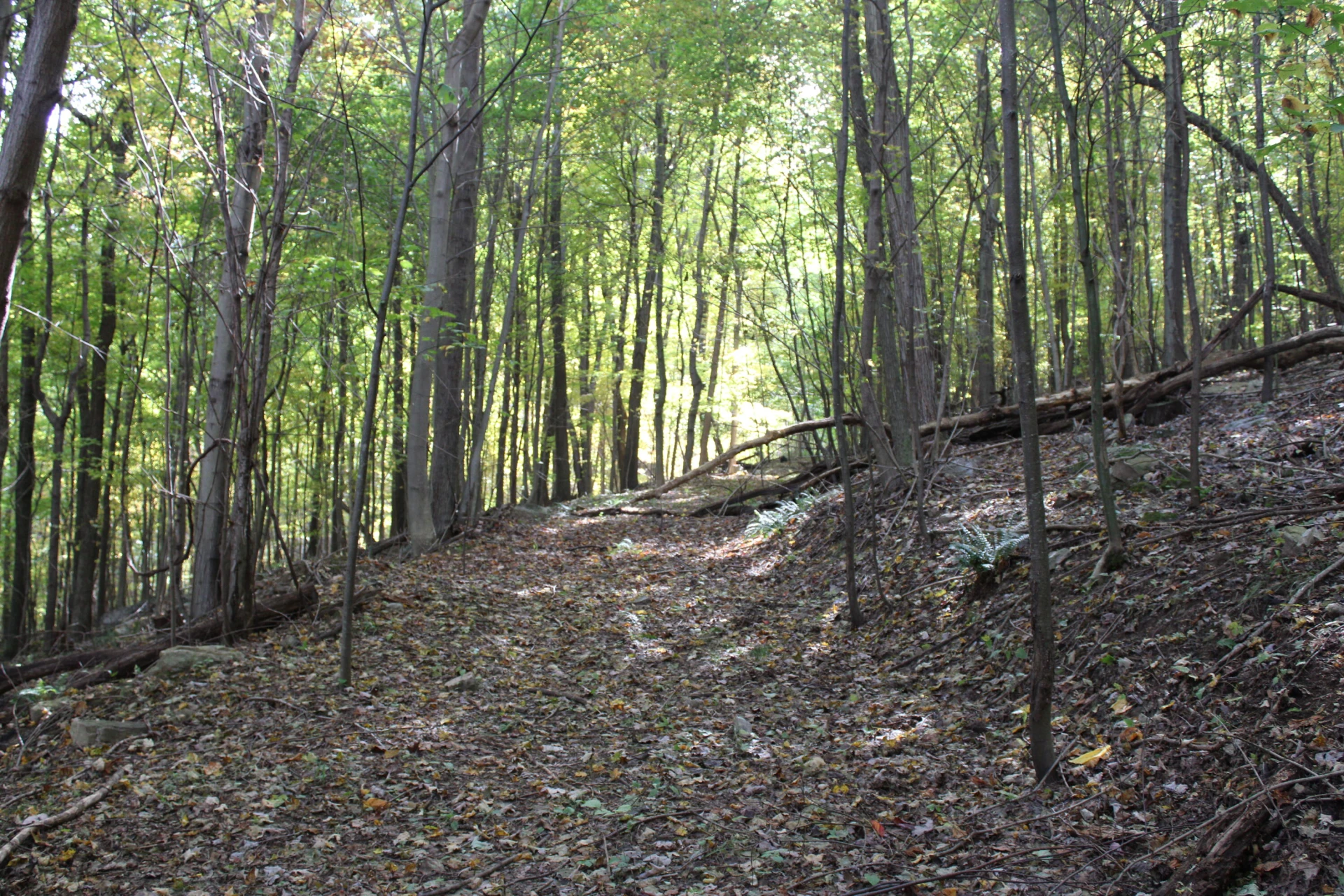 0 Robertson Mountain RD - Photo 17
