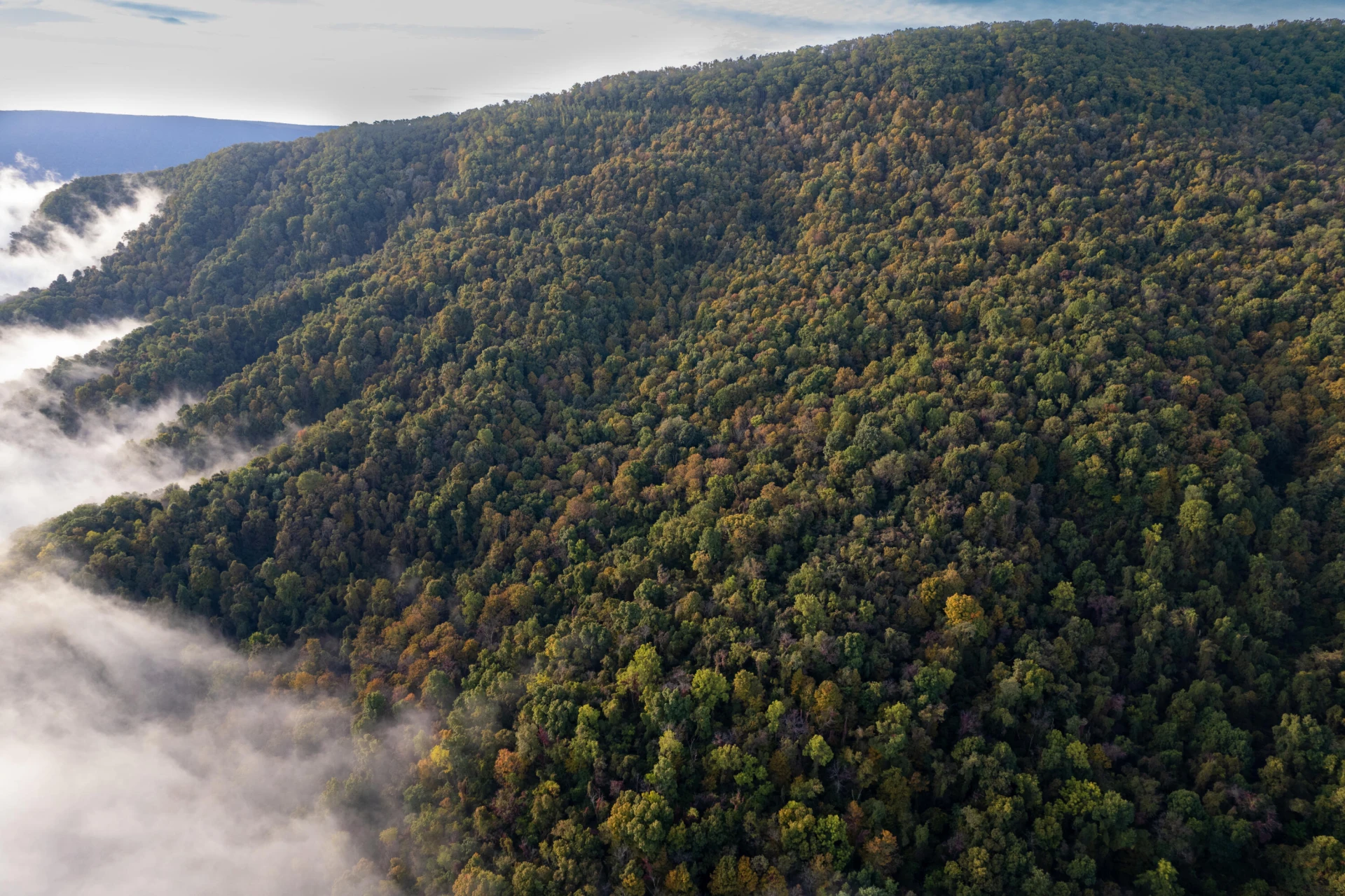 0 Robertson Mountain RD - Photo 18