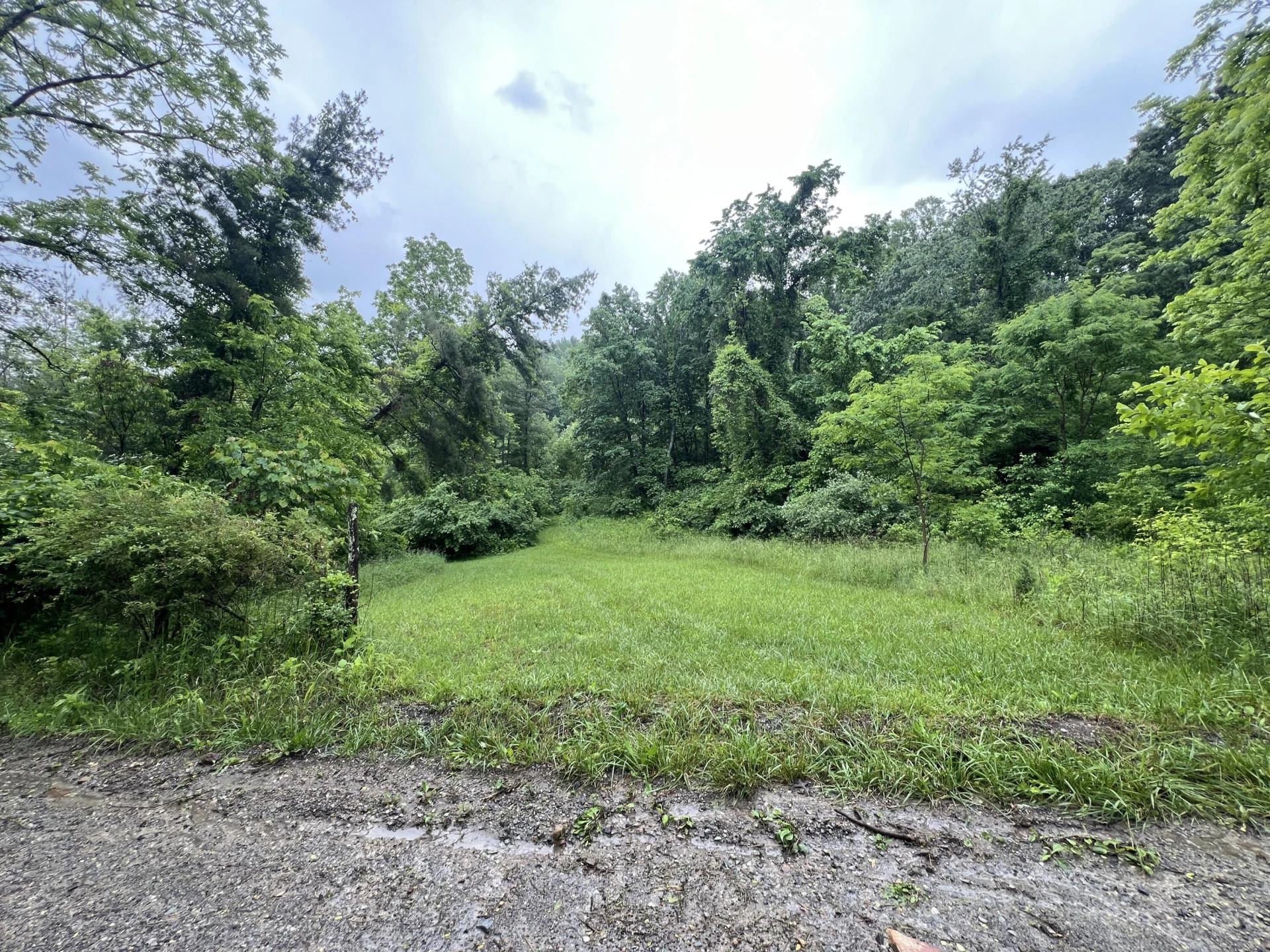 0 Robertson Mountain RD - Photo 3