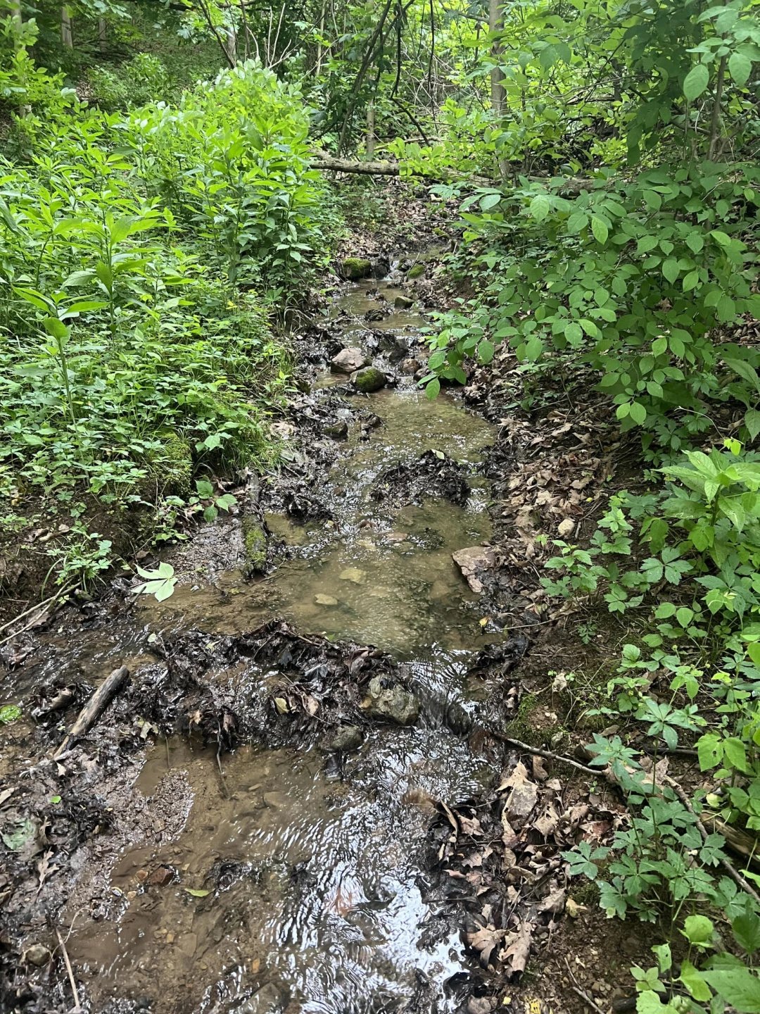 0 Robertson Mountain RD - Photo 4