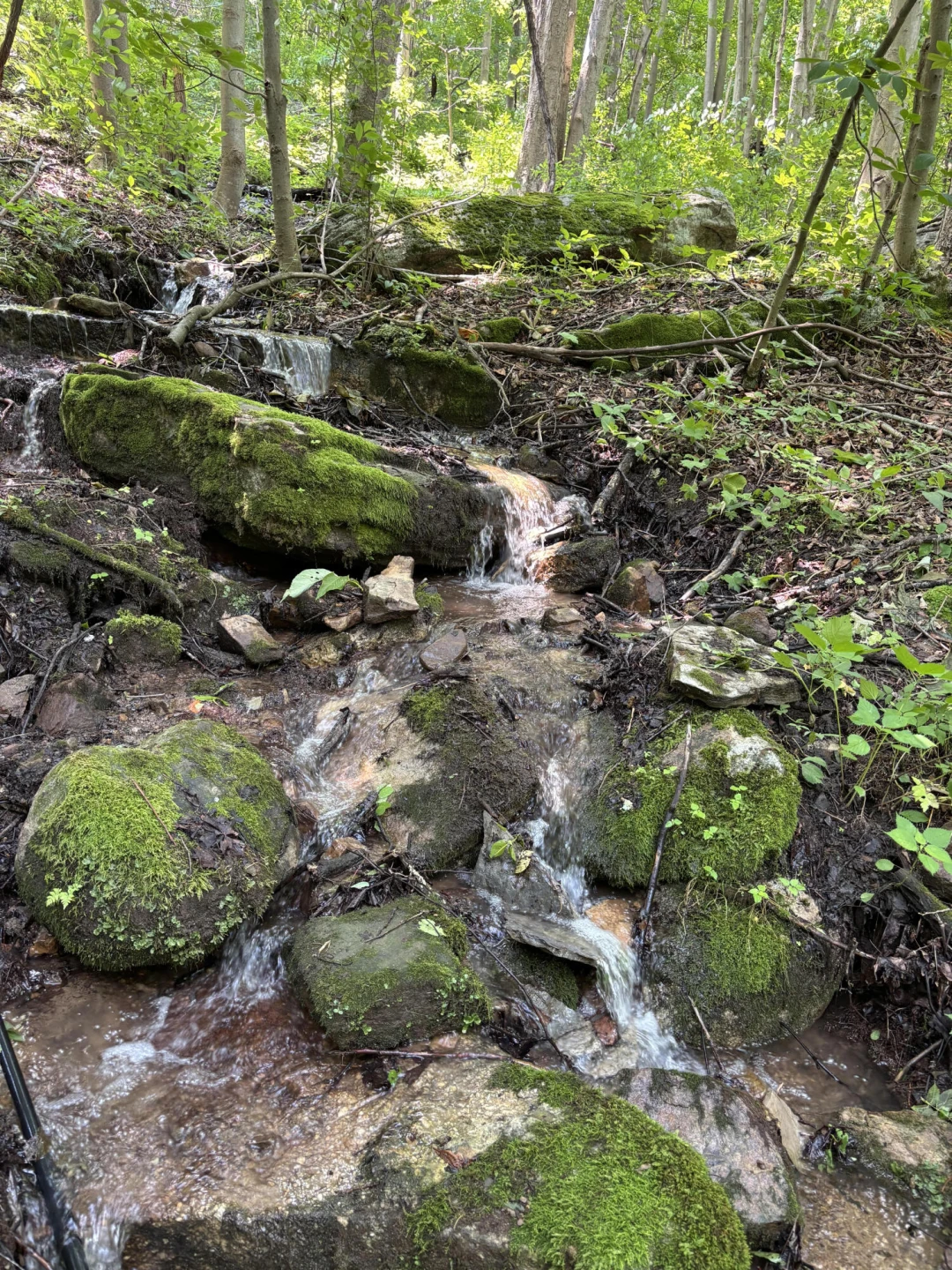 0 Robertson Mountain RD - Photo 6