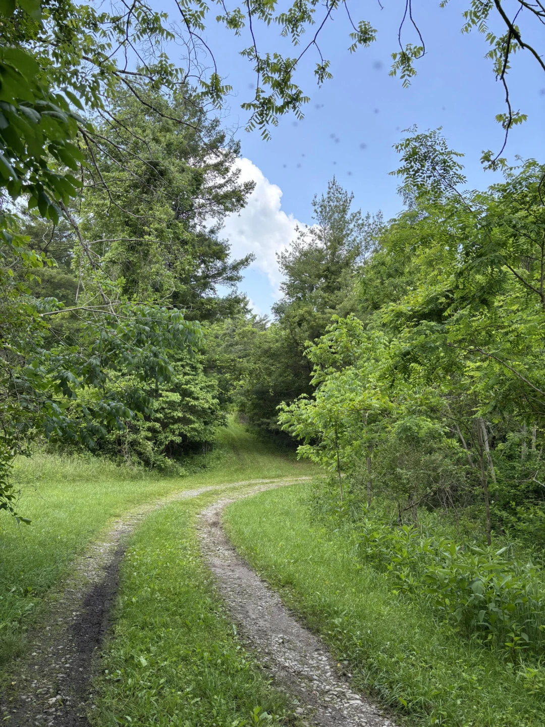 0 Robertson Mountain RD - Photo 7